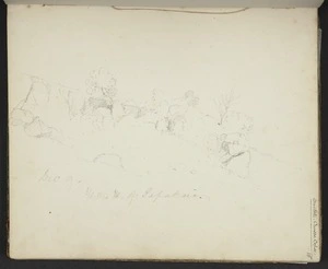Mantell, Walter Baldock Durrant, 1820-1895 :Waitaki. Crusoe Copse. Dec 9. 3/4 m. W of Papakaio. [1851-2]