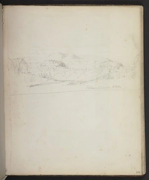 Mantell, Walter Baldock Durrant, 1820-1895 :Pohawaikawa. 11 Dec. [1851]