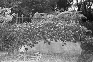 Aston family grave, plot 5210, Bolton Street Cemetery