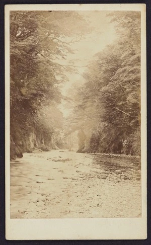 Photographer unknown :Photograph of Blackmount Station, Home Creek