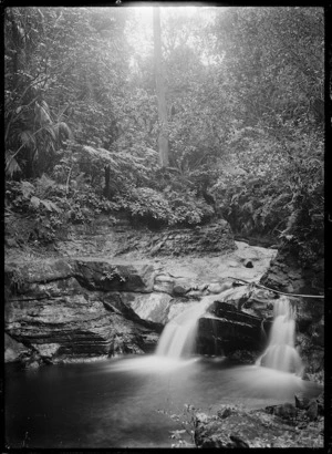 Stream running through bush, with a small waterfall in the foreground.