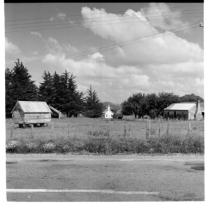 Scenes of rural life, National Park area