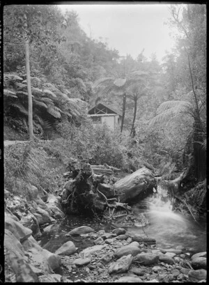 Hut surrounded by bush, beside a stream.