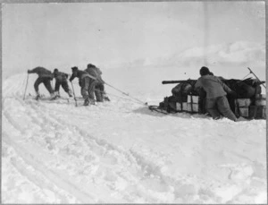 Men on Beardmore Glacier pulling a sled laden with supplies, during the British Antarctic Expedition 1910-1913 - Photograph taken by Captain Robert Falcon Scott