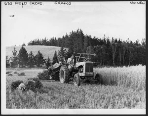 Reaper-and-binder harvesting crop of oats, Redwood Pass, south-east of Blenheim