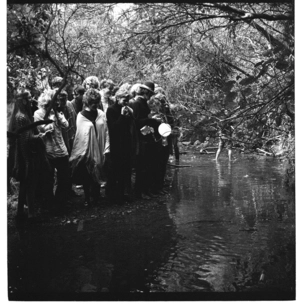 Students' Arts Festival, Wellington, 1970. Floating Pooh sticks down the creek in Wilton's Bush