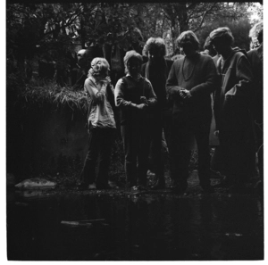 Students' Arts Festival, Wellington, 1970. Floating Pooh sticks down the creek in Wilton's Bush