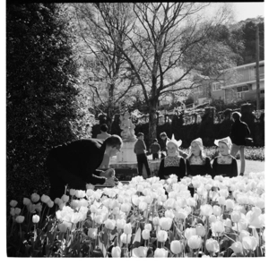 Wellington Botanical Gardens. Tulip Sunday