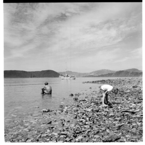 Camp bay area at the summer university congress at Curious Cove, Marlborough Sounds, 1971