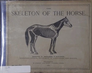The skeleton of the horse : with key and explanatory notes / by Henry C. Wilkie.