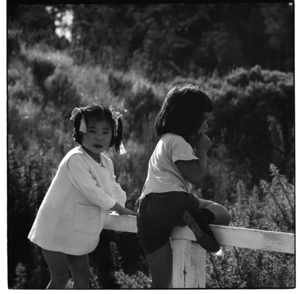 Children in Khouri Avenue, Karori, Wellington, 1971.