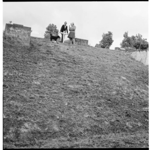 Waikumete Cemetery, and New Lynn bricks and pipes manufacturers