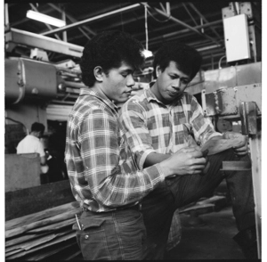 Workers at a plywood factory, Auckland