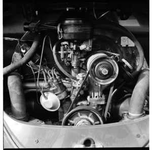Volkswagen engine, and, Matauranga School while it was in Karori, Wellington