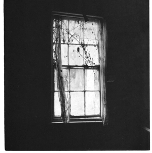 Inside an old homestead, Dunedin area