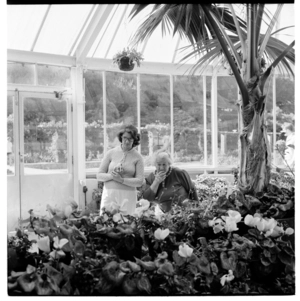 Asian woman keeping warm in the Conservatory, Wellington Botanical Gardens