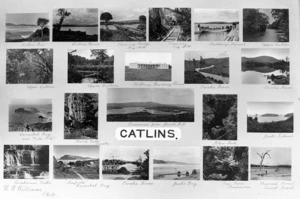 Montage of 22 scenes in the Catlins district