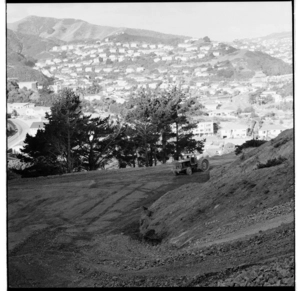 Hilly suburb, and, Wellington Zoo, 1974.