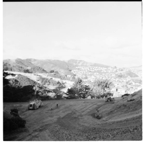 Hilltop clearing, and, Wellington Zoo, 1974