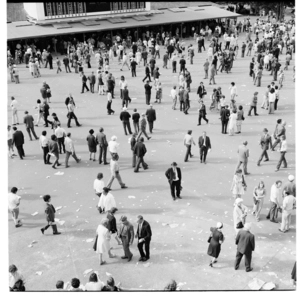 Trentham races, 1974.