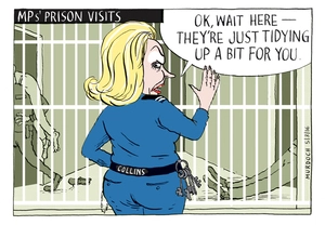 MPs' Prison Visits