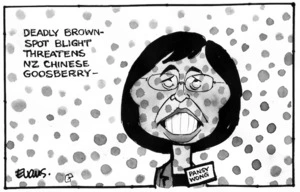 Deadly brown-spot blight threatens NZ Chinese gooseberry. 14 November 2010