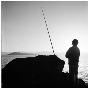 Fishing from rocks, looking across Wellington Harbour