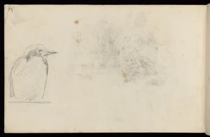 Hodgkins, Frances Mary 1869-1947 :[Bird. 1887]