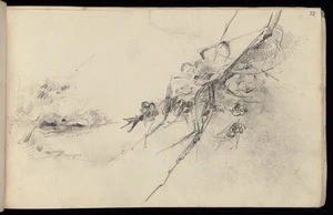 Hodgkins, Frances Mary 1869-1947 :[Flowering branches. Landscape. 1887]