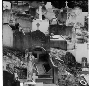 Tombstones at Karori Cemetery, Wellington