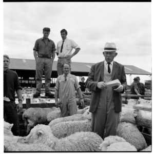Sheep saleyards at Lorneville, Southland, 1970