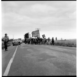 Protesters' march towards the RNZAF Woodbourne Airbase, 1971