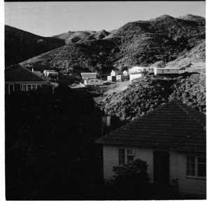 Ngaio, a hilly area in Wellington