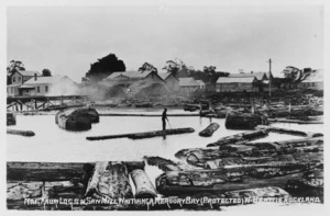 Young, L R : Photograph of the saw mill at Whitianga