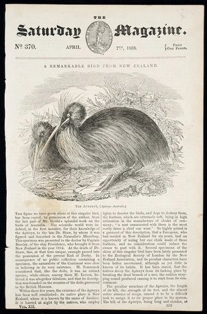 [Gould, John], 1804-1881 :A remarkable bird from New Zealand. The apteryx (Apteryx Australis). Saturday magazine, no. 370, April 7th 1838. Vo. XII, [no.] 370, [page 129]