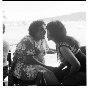 Waitangi 1981