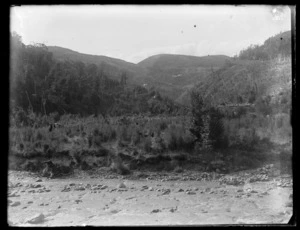 Waipori Falls settlement from Waipori river