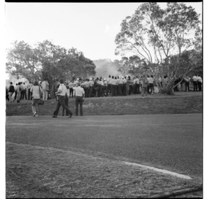 Scenes at Waitangi during the Waitangi Day protests in 1982