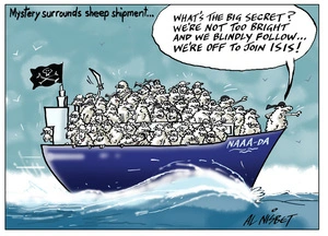 "Mystery surrounds sheep shipment"