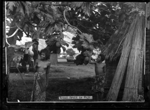 Young women with bread-fruit, Fiji