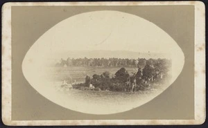 Photographer unknown :Photograph of an unidentified farm and homestead