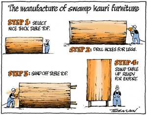 The manufacture of swamp kauri furniture