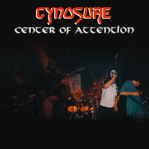 Center of attention / Cynosure.