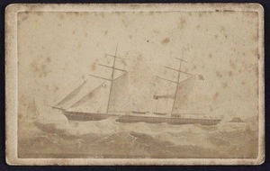 Portrait of the ship Taranaki