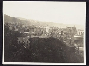 Photographer unknown :Photograph of Wellington in the 1920s