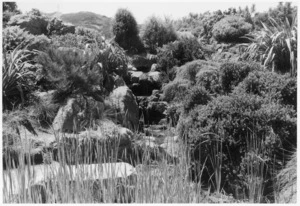 Detail of the rock garden at Otari Native Plant Museum Wilton Wellington