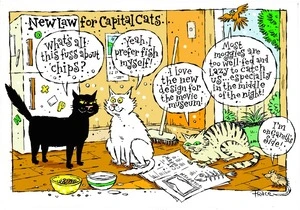 New law for capital cats