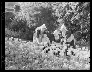 Dutch people looking at tulips in the Wellington Botanic Garden