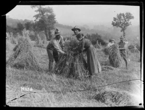 World War I Maori Soldiers assist with the harvest whilst in rest billets
