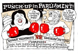 Punch up in Parliament